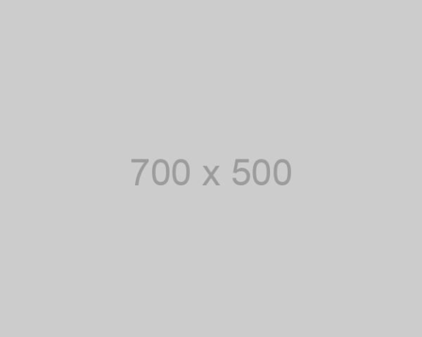 700×500 700x500
